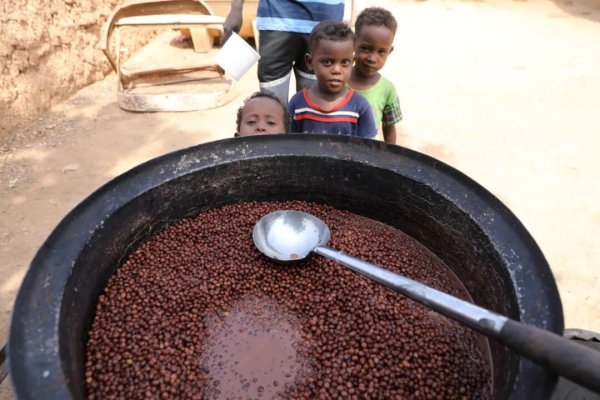 乾盘配资 全球处于饥饿状态的人数已达到创纪录水平