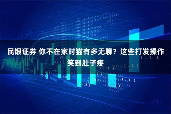 民银证券 你不在家时猫有多无聊？这些打发操作笑到肚子疼