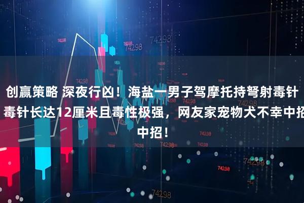 创赢策略 深夜行凶！海盐一男子驾摩托持弩射毒针，毒针长达12厘米且毒性极强，网友家宠物犬不幸中招！
